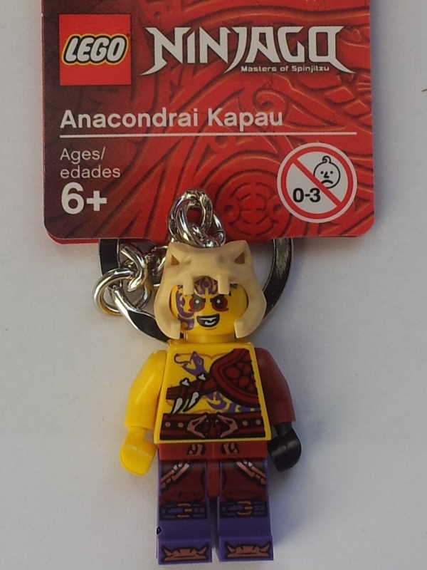851353.jpg