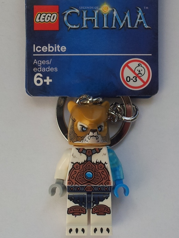 851369.jpg