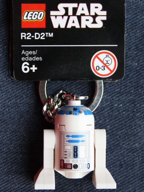 851091.jpg