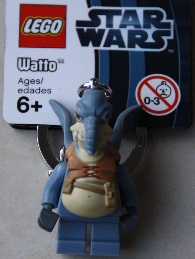 853413.jpg