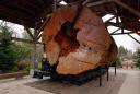 snoqualmie_the_log_01.jpg