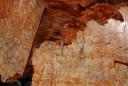 snoqualmie_the_log_02.jpg