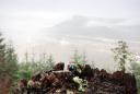 st_helens_mnt_02.jpg