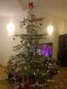 jk_xmas_05_s.jpg