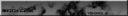 bc2_tendril.....png