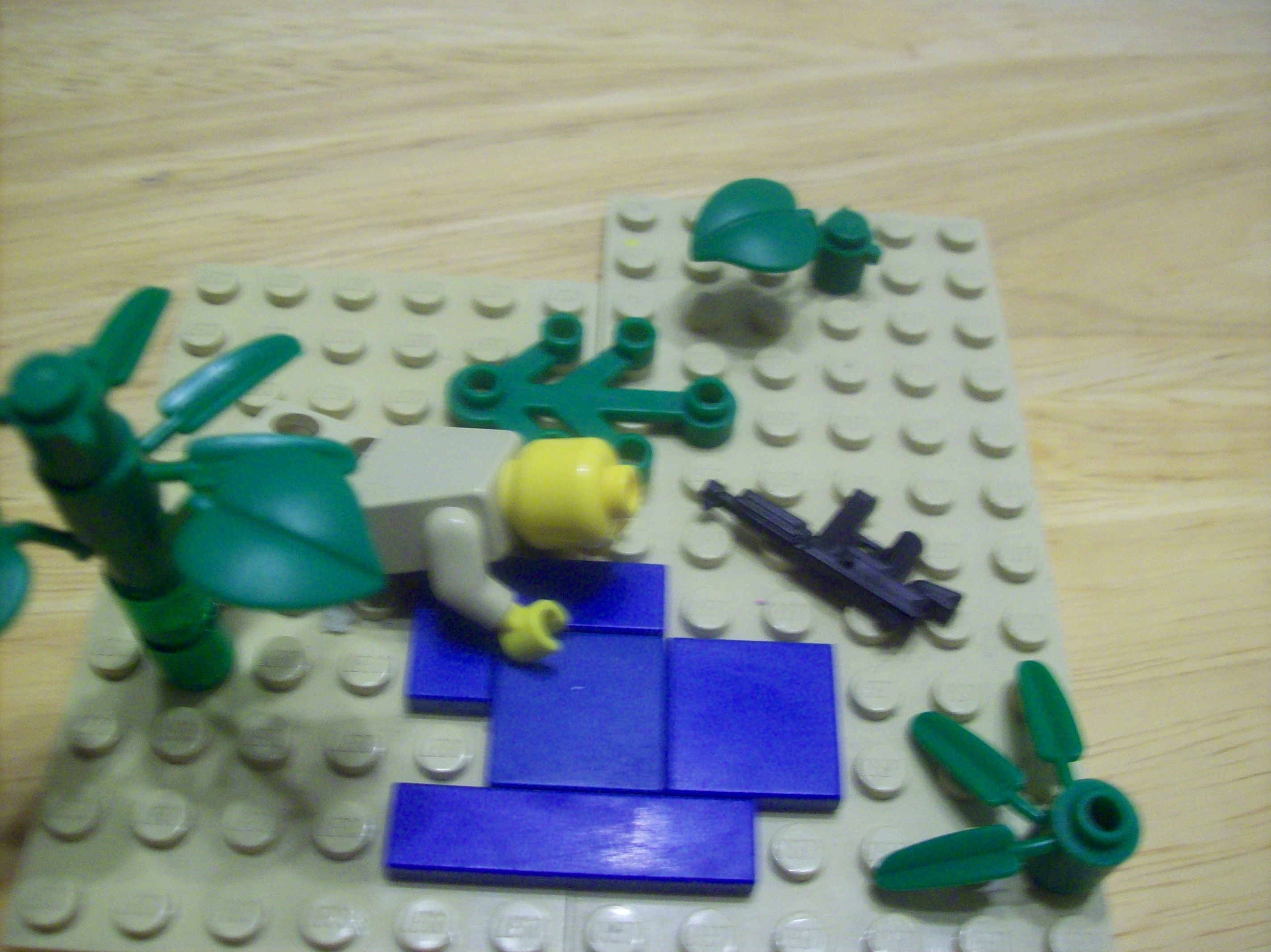 100_2359.jpg