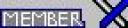 member_custom_title.jpg