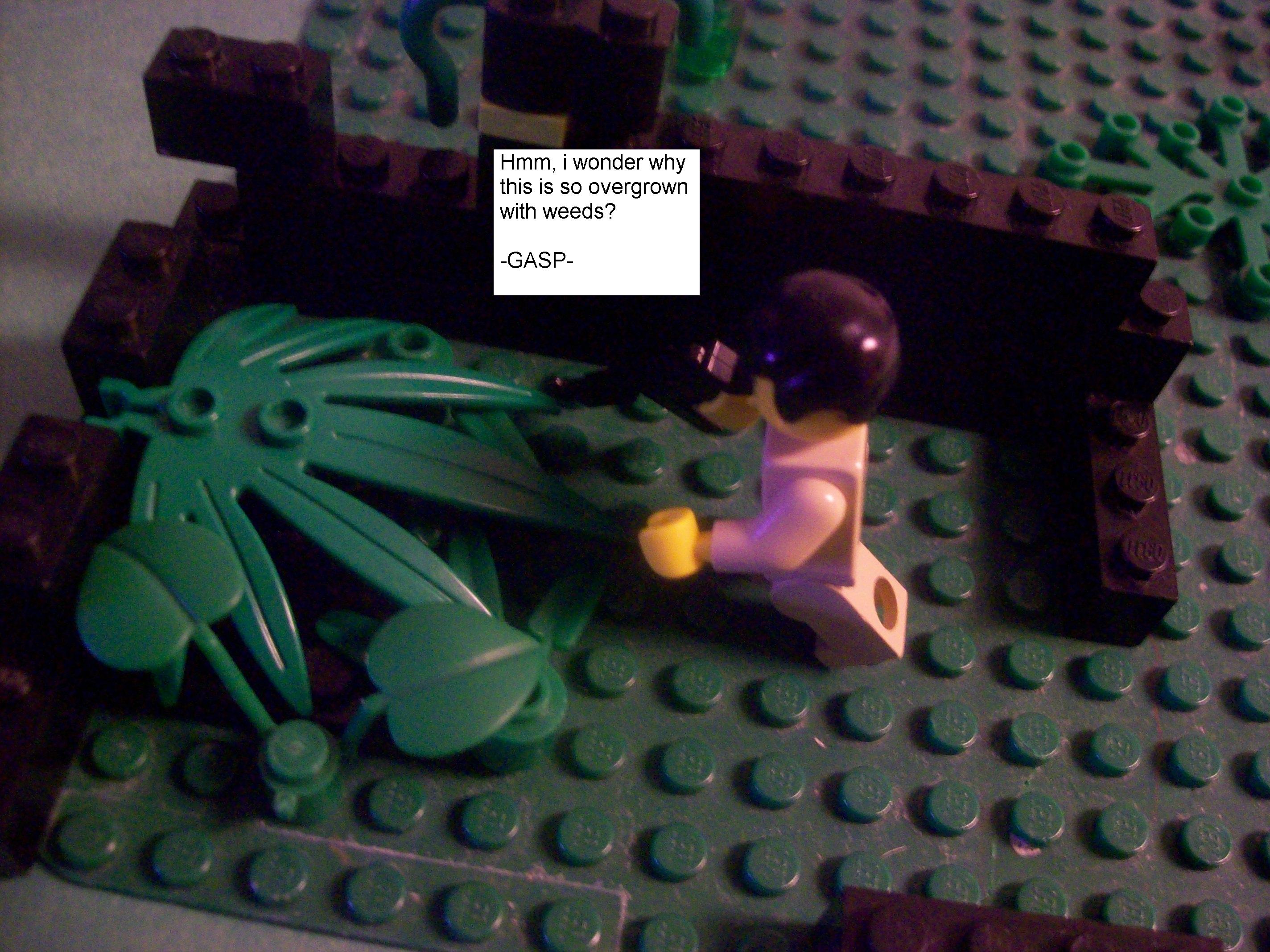 100_2376_comic.jpg