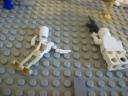 100_3120_resize.jpg