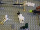 100_3122_resize.jpg