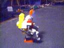 picture_23.jpg