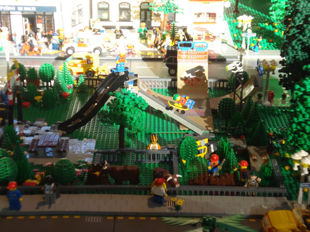 dsc04843.jpg
