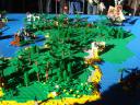 dsc04794.jpg