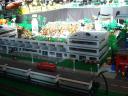 dsc04847.jpg