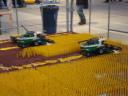 dsc04890.jpg