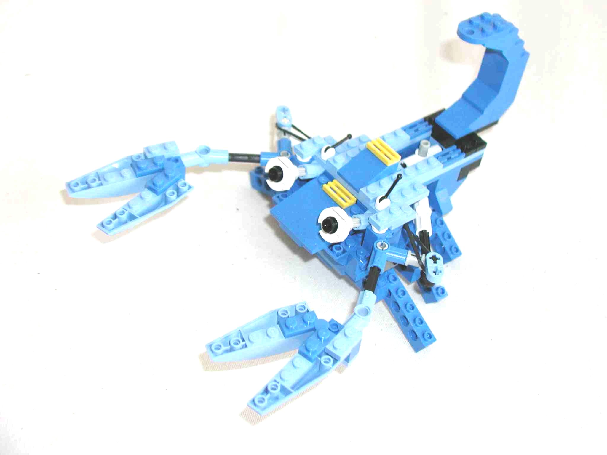 crab1.jpg