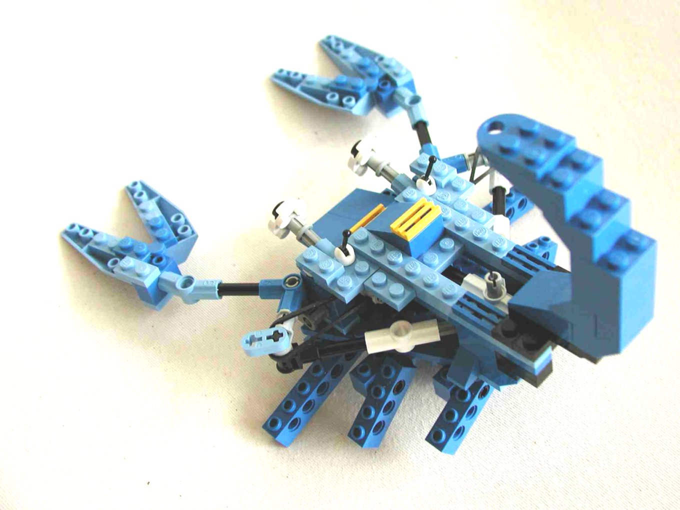 crab2.jpg