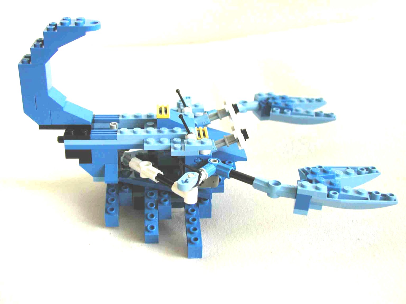 crab3.jpg