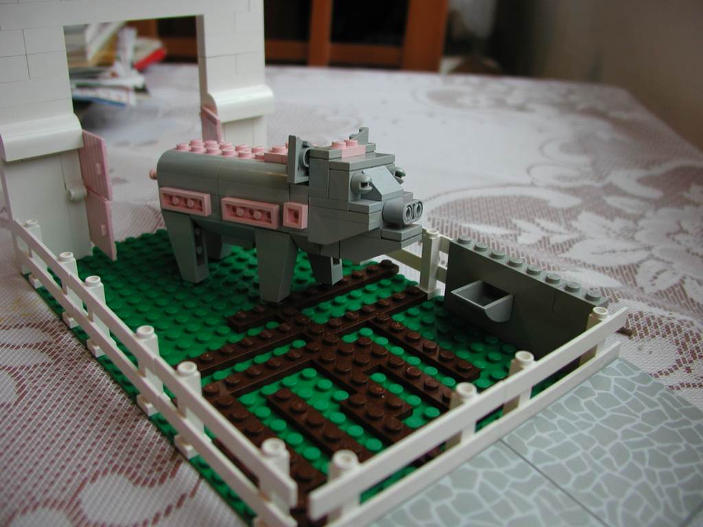 pig10.jpg