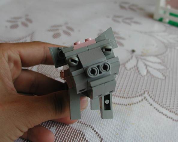 pig4.jpg