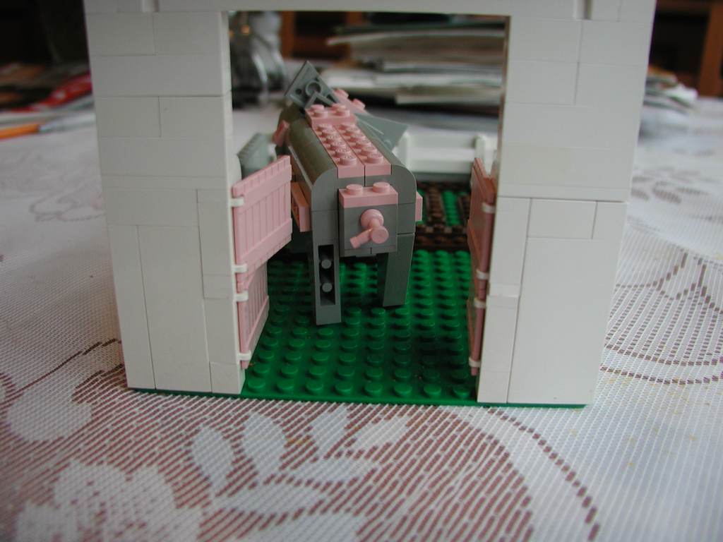 pig9.jpg
