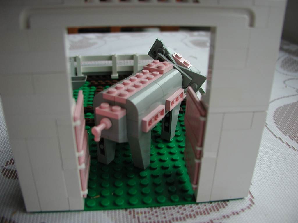 prase4.jpg