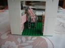 pig9.jpg