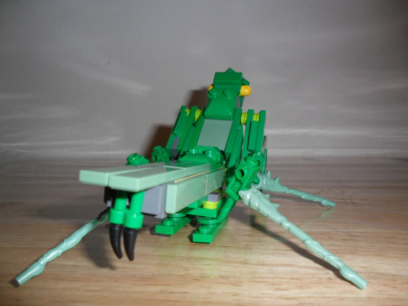 mantis4.jpg