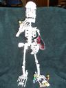 skelewip02.jpg