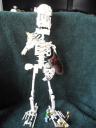 skelewip06.jpg