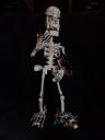 skelewip08.jpg
