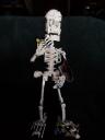skelewip12.jpg