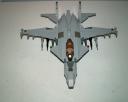 wild_weasel_2.jpg