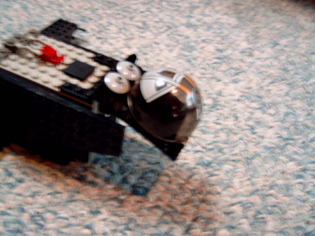 dsc00010.jpg