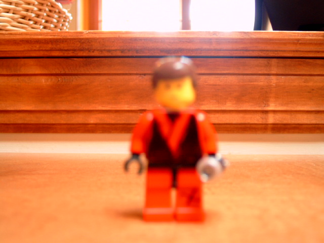 dsc00004.jpg