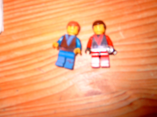 dsc00007.jpg
