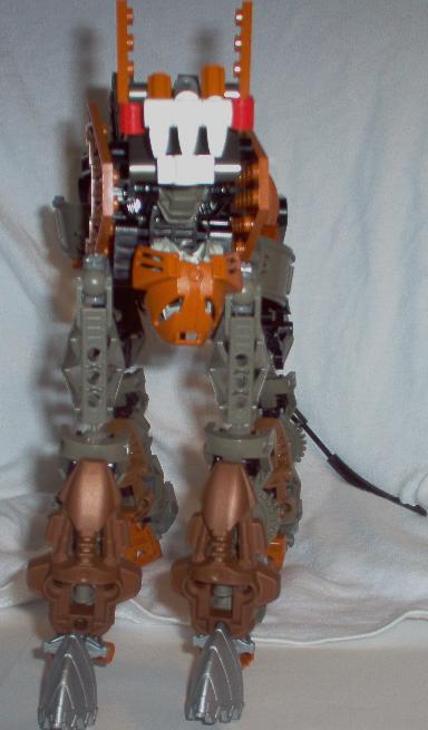 rahi4.jpg