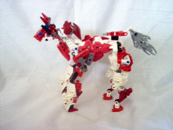 horse1.jpg
