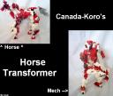 HorseTransformer