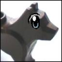 thmb_mhound1.jpg