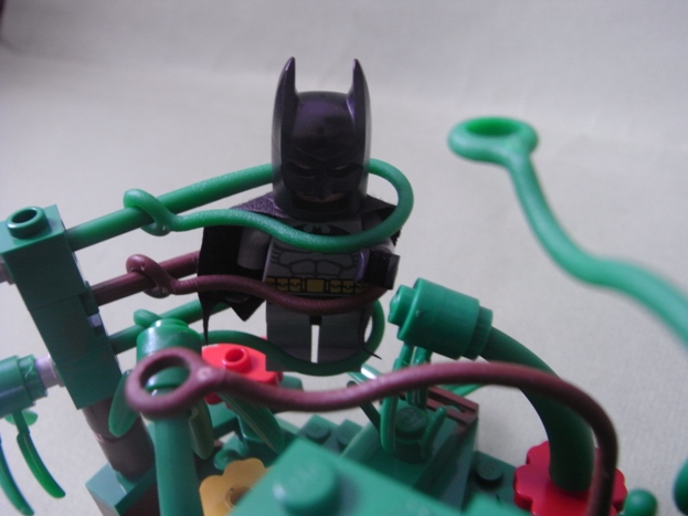 deadly_garden_vig_batman_closeup.jpg