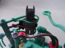 deadly_garden_vig_batman_closeup.jpg
