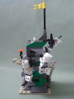 capture_the_flag_2__low_res.jpg