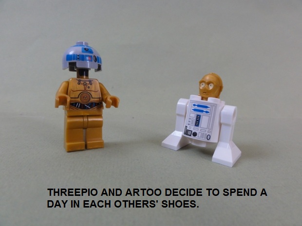 a_day_in_his_shoes.jpg
