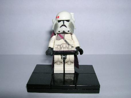 custom_bacara.jpg