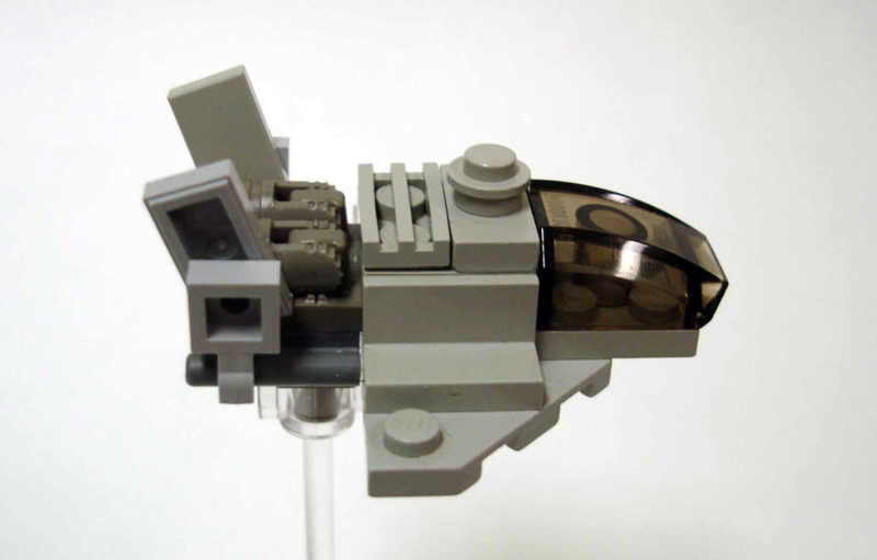 raptor_3.jpg