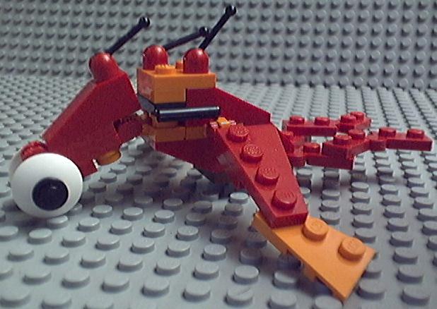 humpbackbug02.jpg