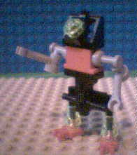 mtbota01.jpg