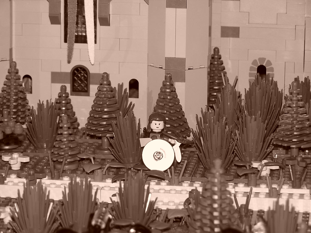 legoproject_2007_003.jpg
