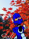autumn.png